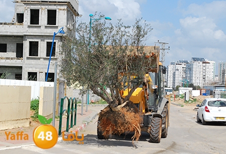 a3malteybeortlud (21).jpg